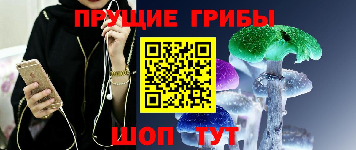 Галлюциногенные грибы Psilocybine cubensis Дальнегорск